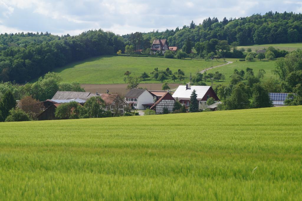 Bolderhof Villa Hemishofen Екстериор снимка